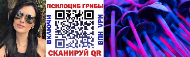 Псилоцибиновые грибы ЛСД  дарнет шоп  Тихорецк 